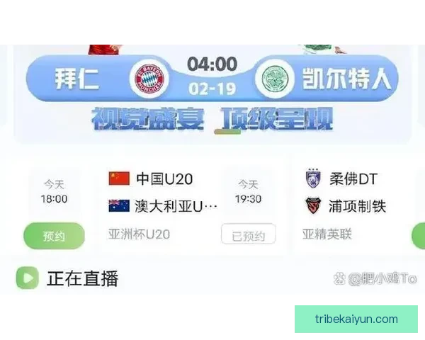 足球数据榜单显示各队表现稳定，备受关注的球队在持续提升竞争力。