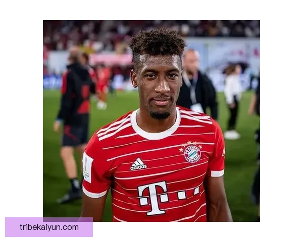 基米希传球区域分析显示出其在比赛中的关键作用与影响力。 基米希传球区域分析显示出其在比赛中的关键作用与影响力。