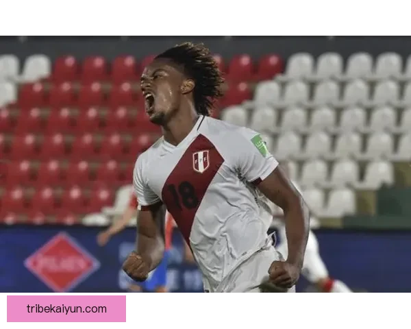 秘鲁队控球能力持续提升，近期表现稳健引人关注
