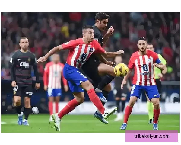 西甲射手榜单：本赛季进球分布与竞争格局分析分析